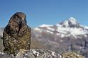 WT 0200 040-12 New Zealand a Kea